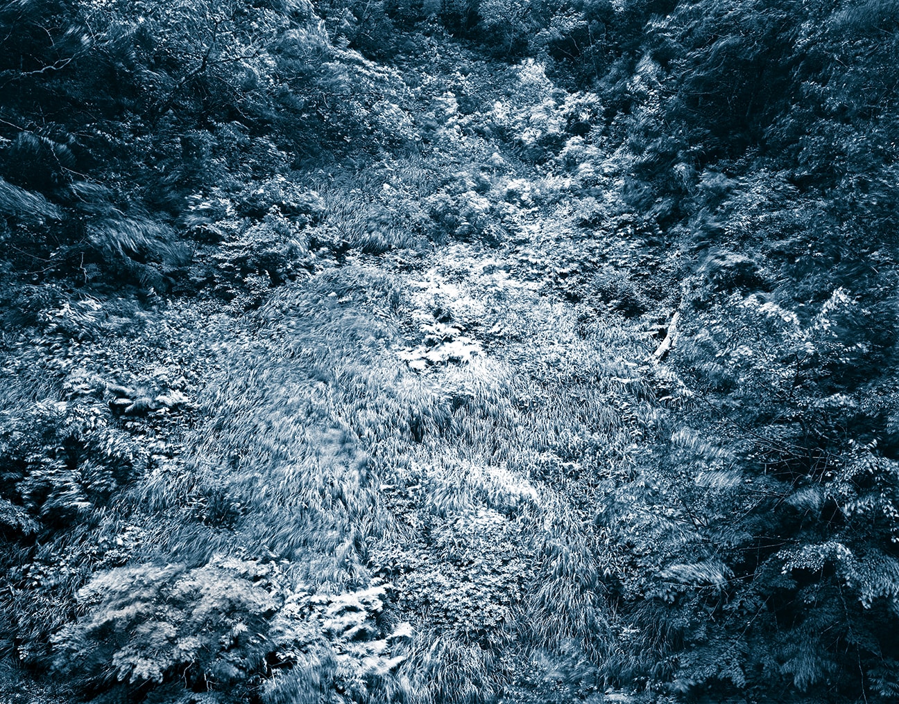 Illuminating Earth 139 - C29 May 23, 2020, 2020