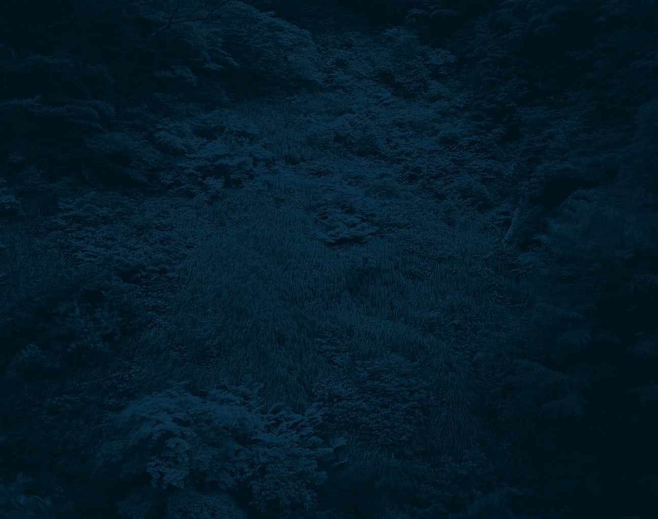 Yojiro Imasaka, Illuminating Earth 129 - C0 April 28, 2020, 2020