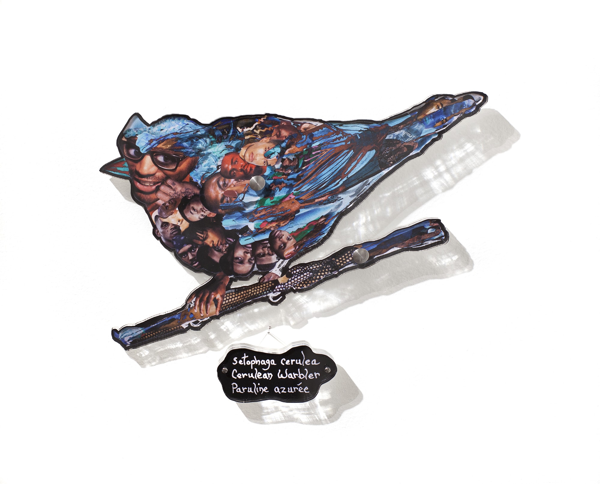 Dominique Paul, Cerulean Warbler, 2020