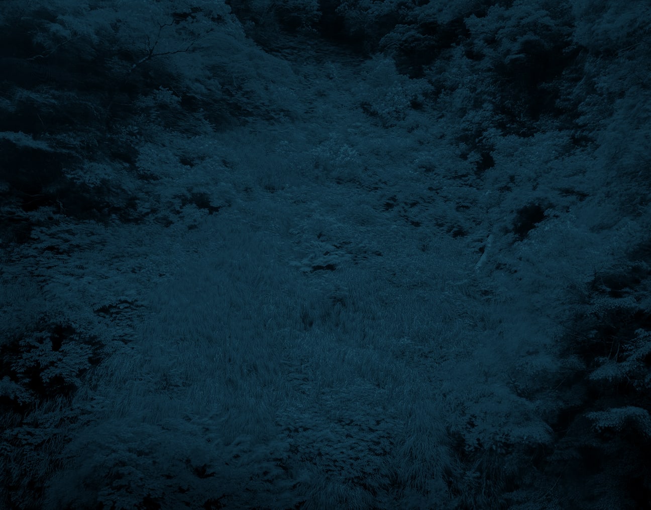 Illuminating Earth 147 - C51 June 3, 2020, 2020