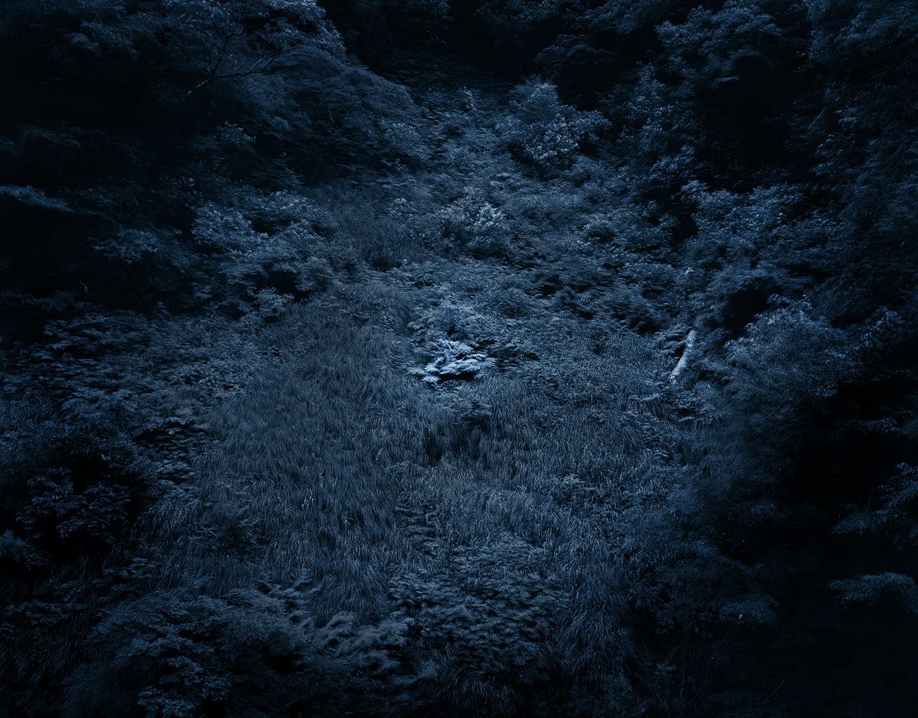 Illuminating Earth 147 - C53 June 3, 2020, 2020