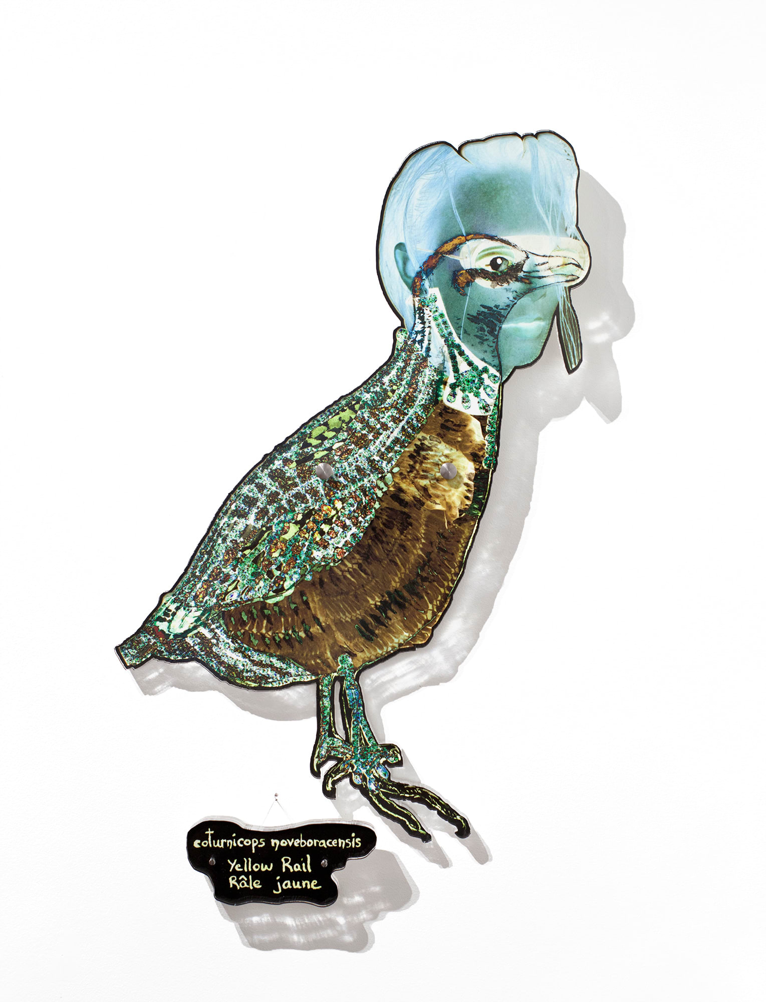 Dominique Paul, Yellow Rail, 2020