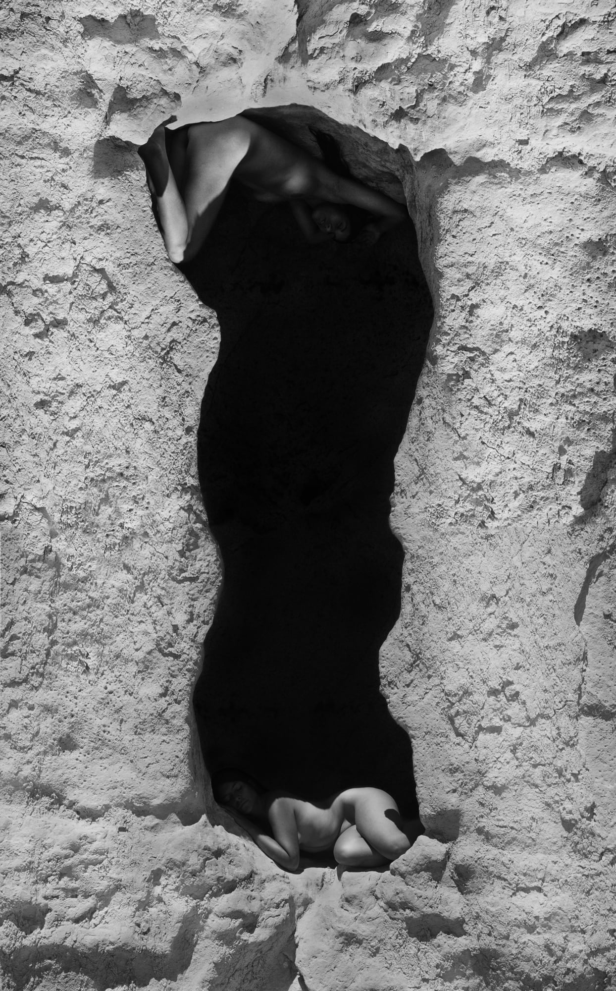 Karen Miranda Rivadeneira, Gathering Roots and Holding Up the Sky, 2019