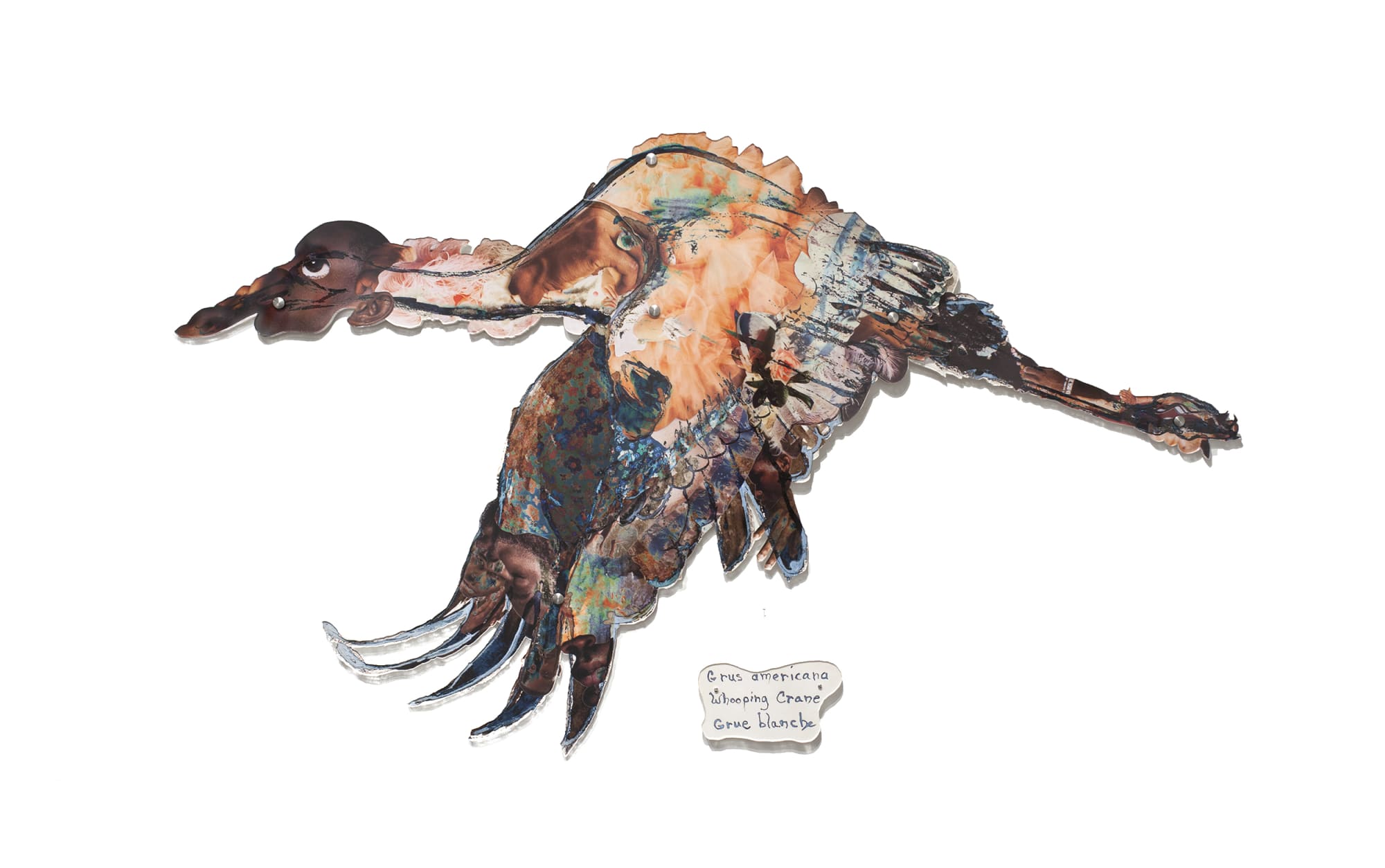 Dominique Paul, Whooping Crane, 2020