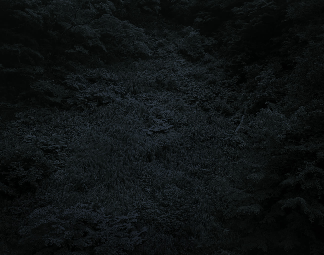 Yojiro Imasaka, Illuminating Earth 136 - C19 May 22, 2020, 2020