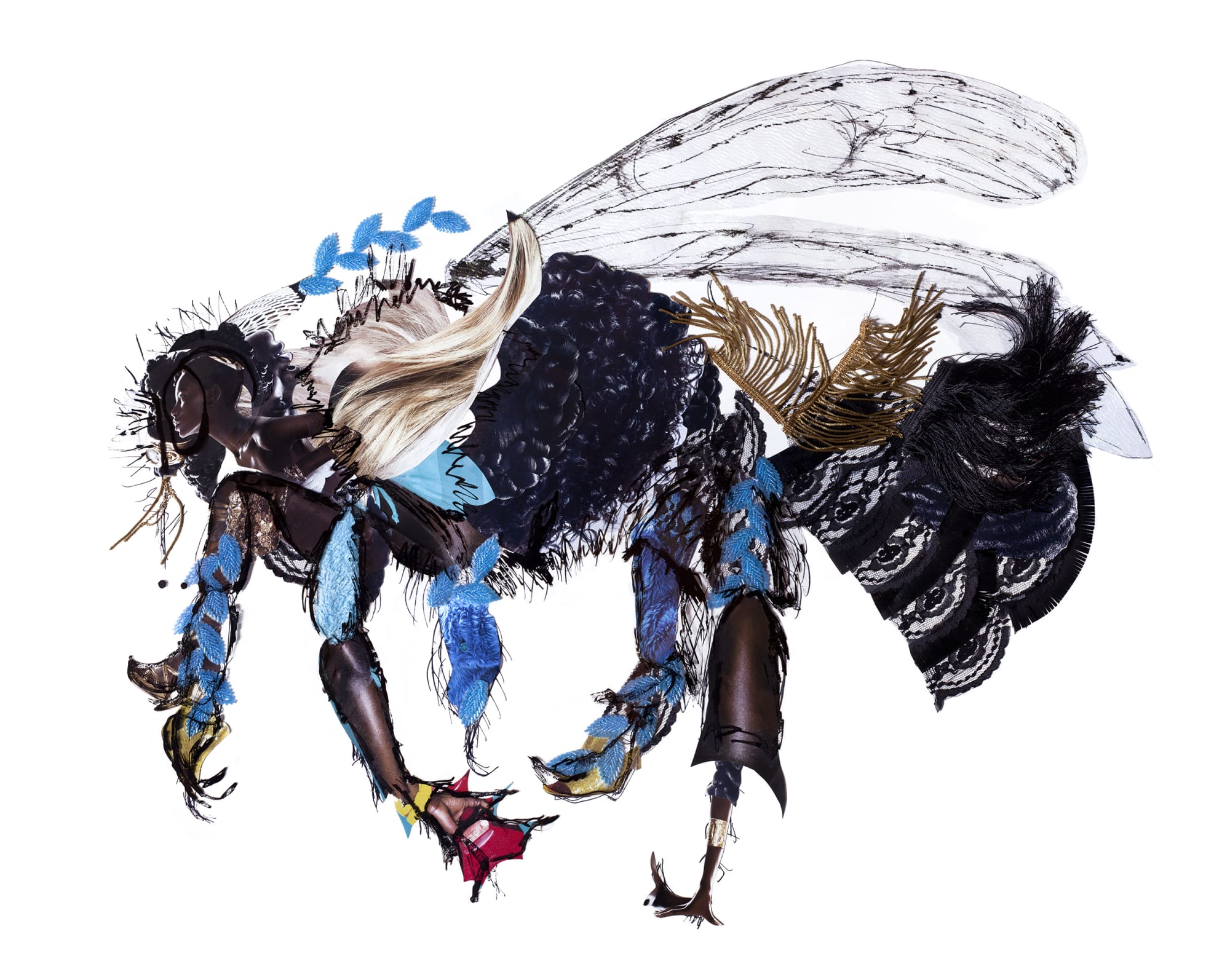 Dominique Paul, Rusty-patched Bumble Bee/Bombus affinis/Bourdon à tache rousse, 2019