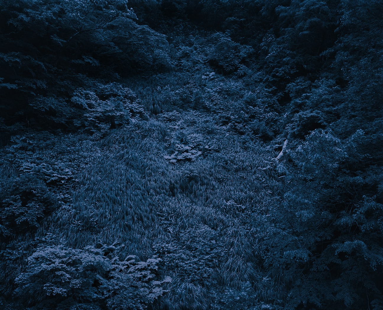 Illuminating Earth 145 - C40 June 2, 2020, 2020