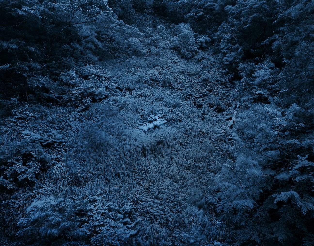 Yojiro Imasaka, Illuminating Earth 137 - C23 May 22, 2020, 2020