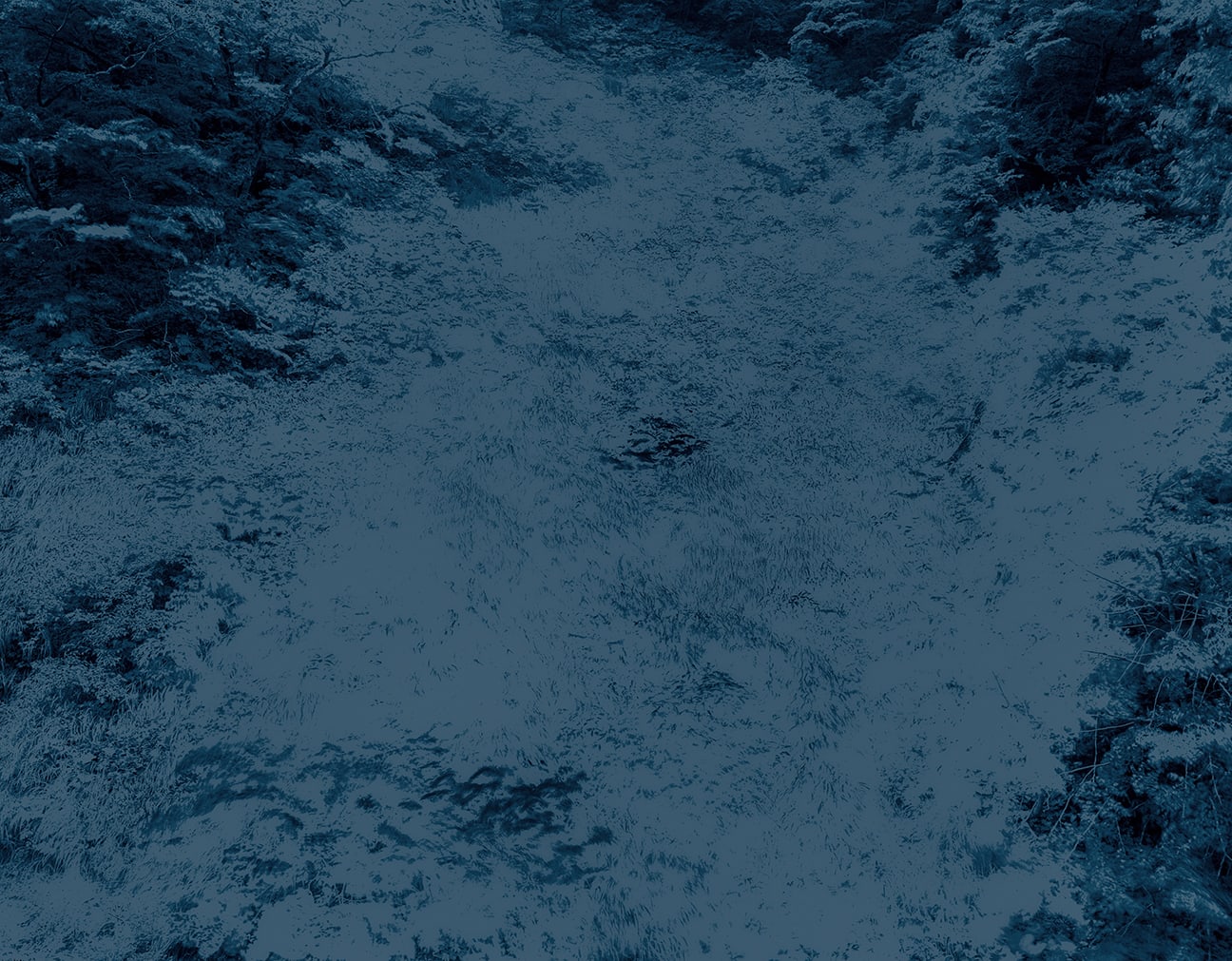 Illuminating Earth 131 - C7 April 20, 2020, 2020