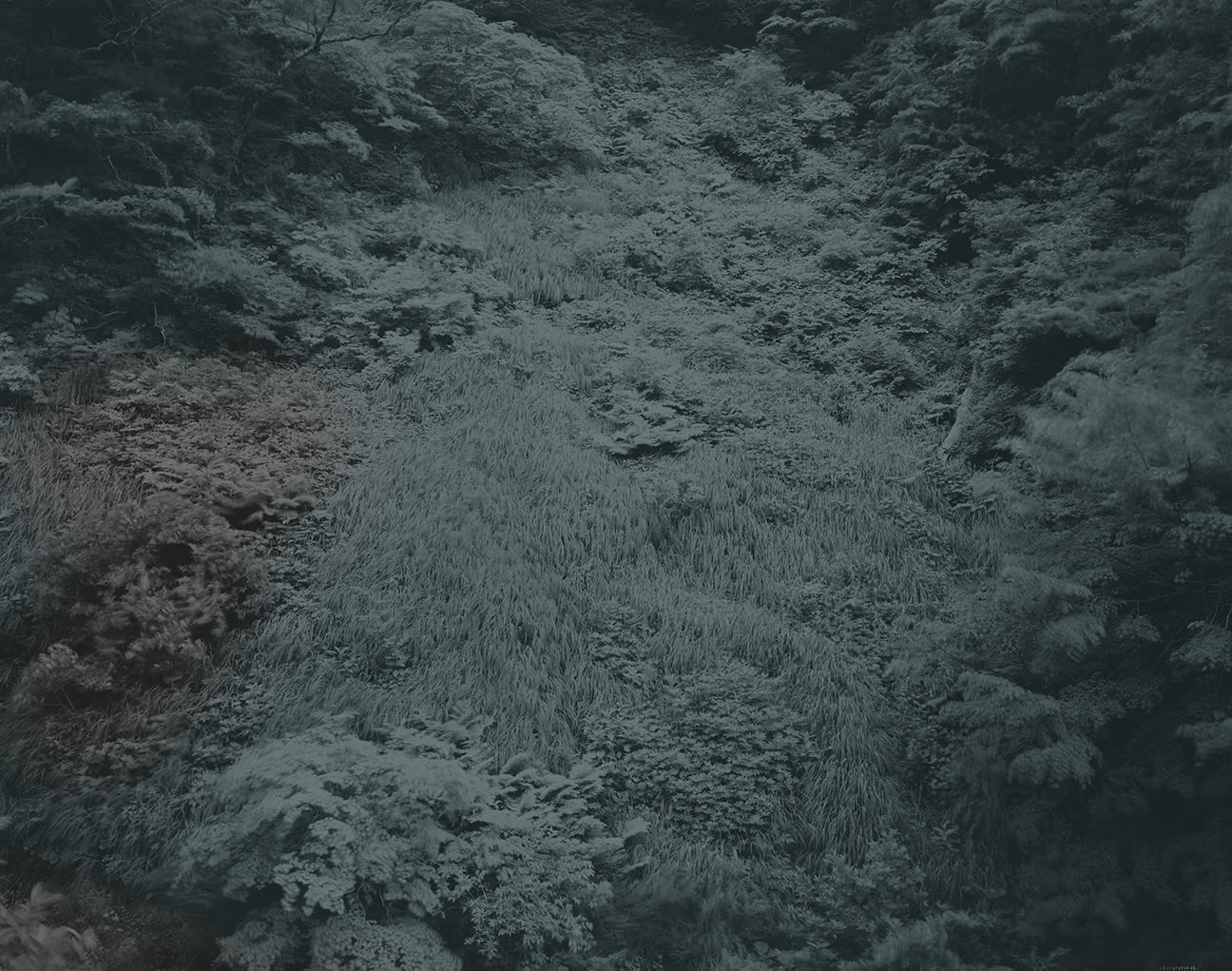 Yojiro Imasaka, Illuminating Earth 129 - C3 April 28, 2020, 2020