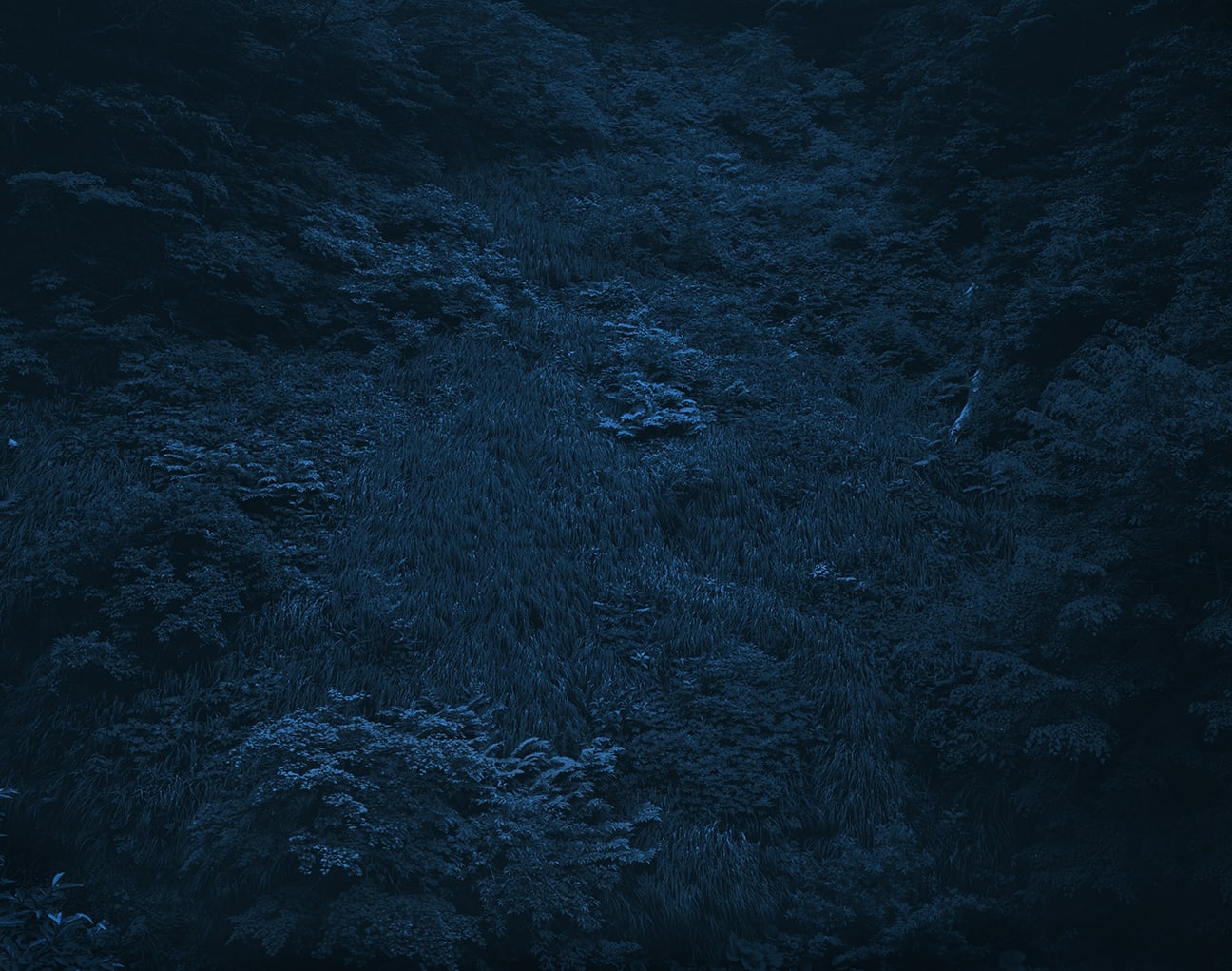 Illuminating Earth 141 - C30 May 23, 2020, 2020