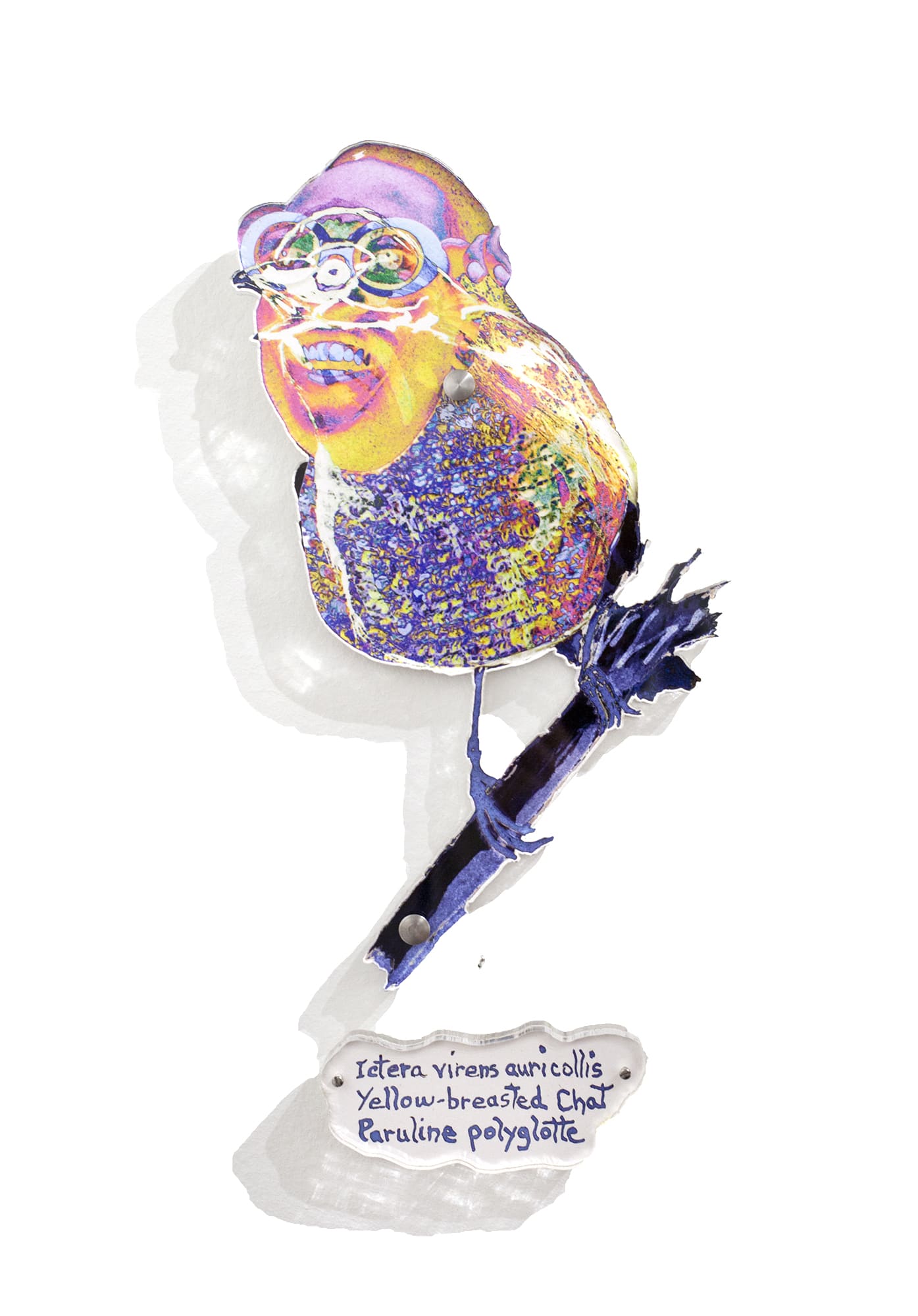 Dominique Paul, Yellow-breasted Chat, 2020