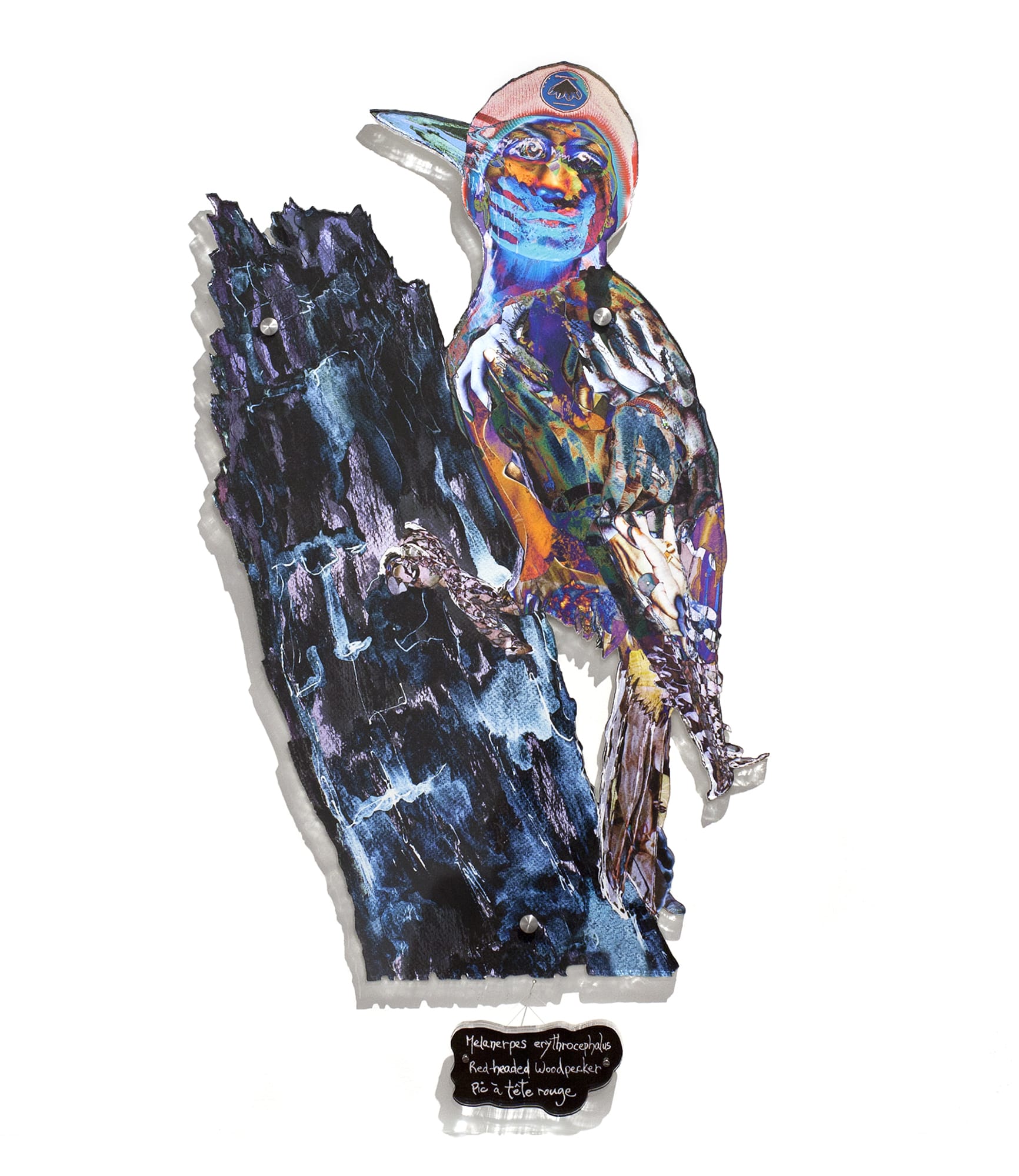 Dominique Paul, Red-headed Woodpecker, 2020