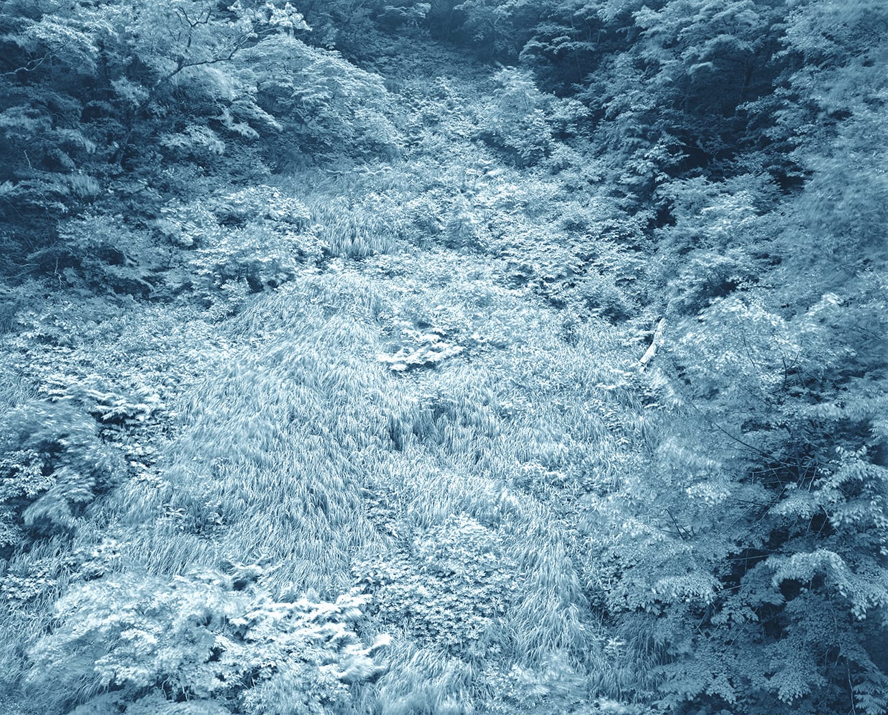 Illuminating Earth 138 - C25 May 23, 2020, 2020