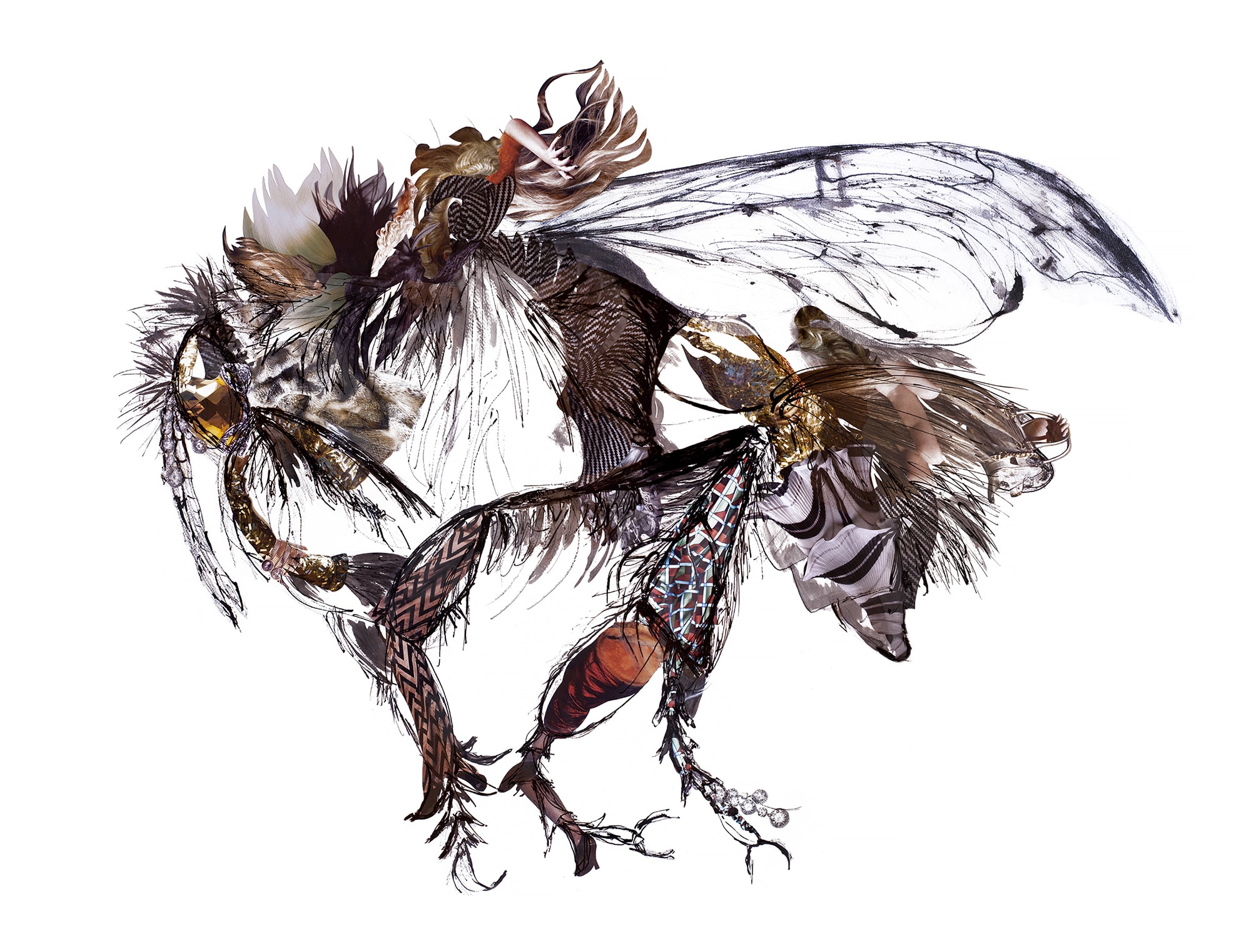 Dominique Paul, Western Bumble Bee mckayi subspecies / Bombus occidentalis mckayi / Bourdon de l'Ouest de la sous-espèce mckayi, 2019