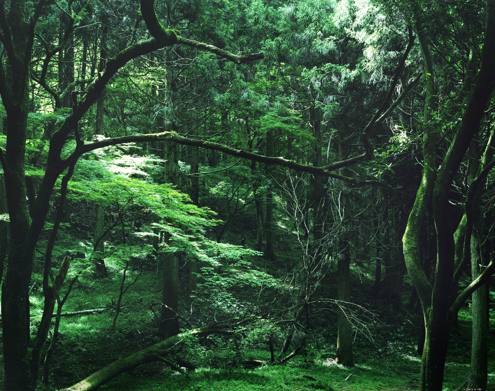 lluminating Earth 089, 2019