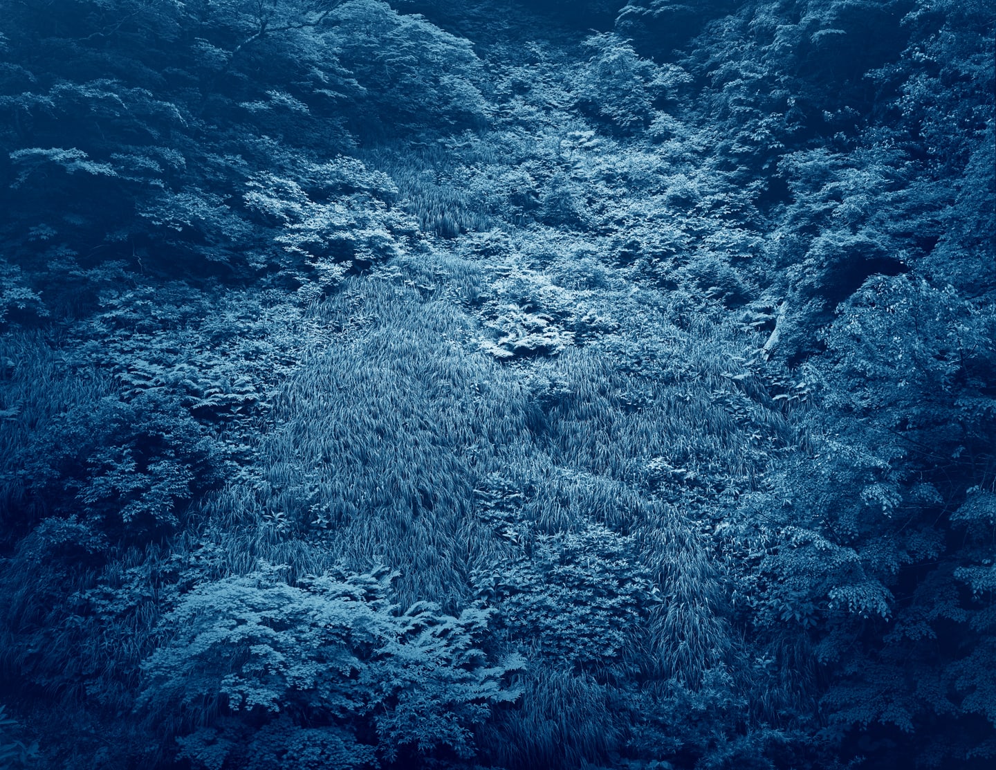 Yojiro Imasaka, Illuminating Earth 148 B, 2019