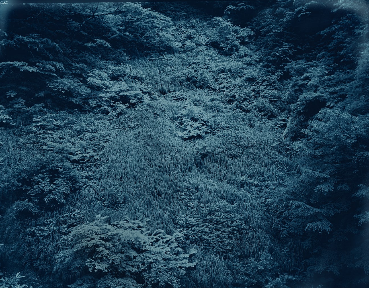 Illuminating Earth 130 - C6 May 13, 2020, 2020