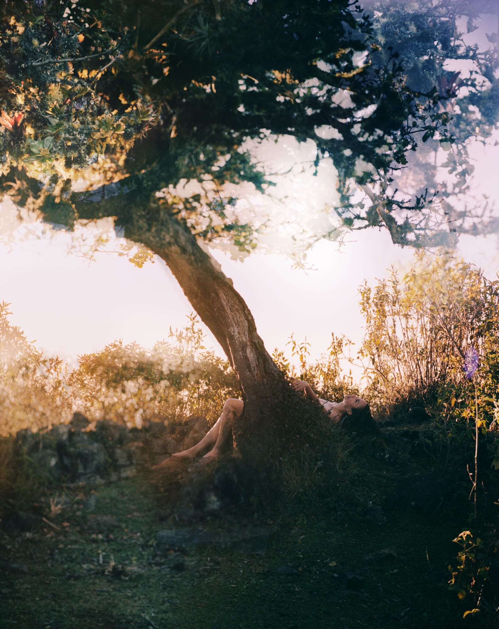 Karen Miranda Rivadeneira, Pawkar Killa, 2018