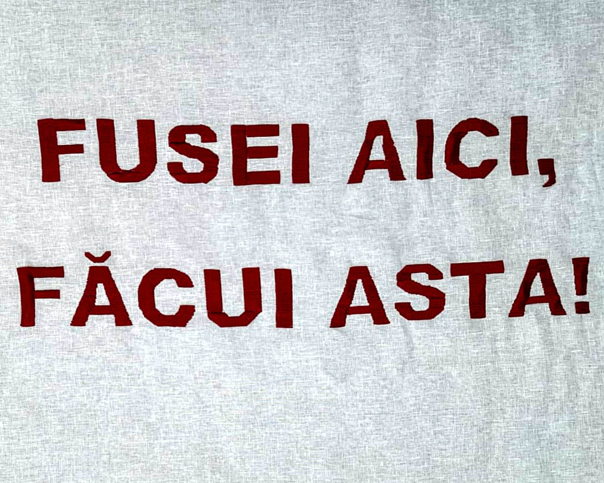 Norica Popescu, Fusei aici, făcui asta!