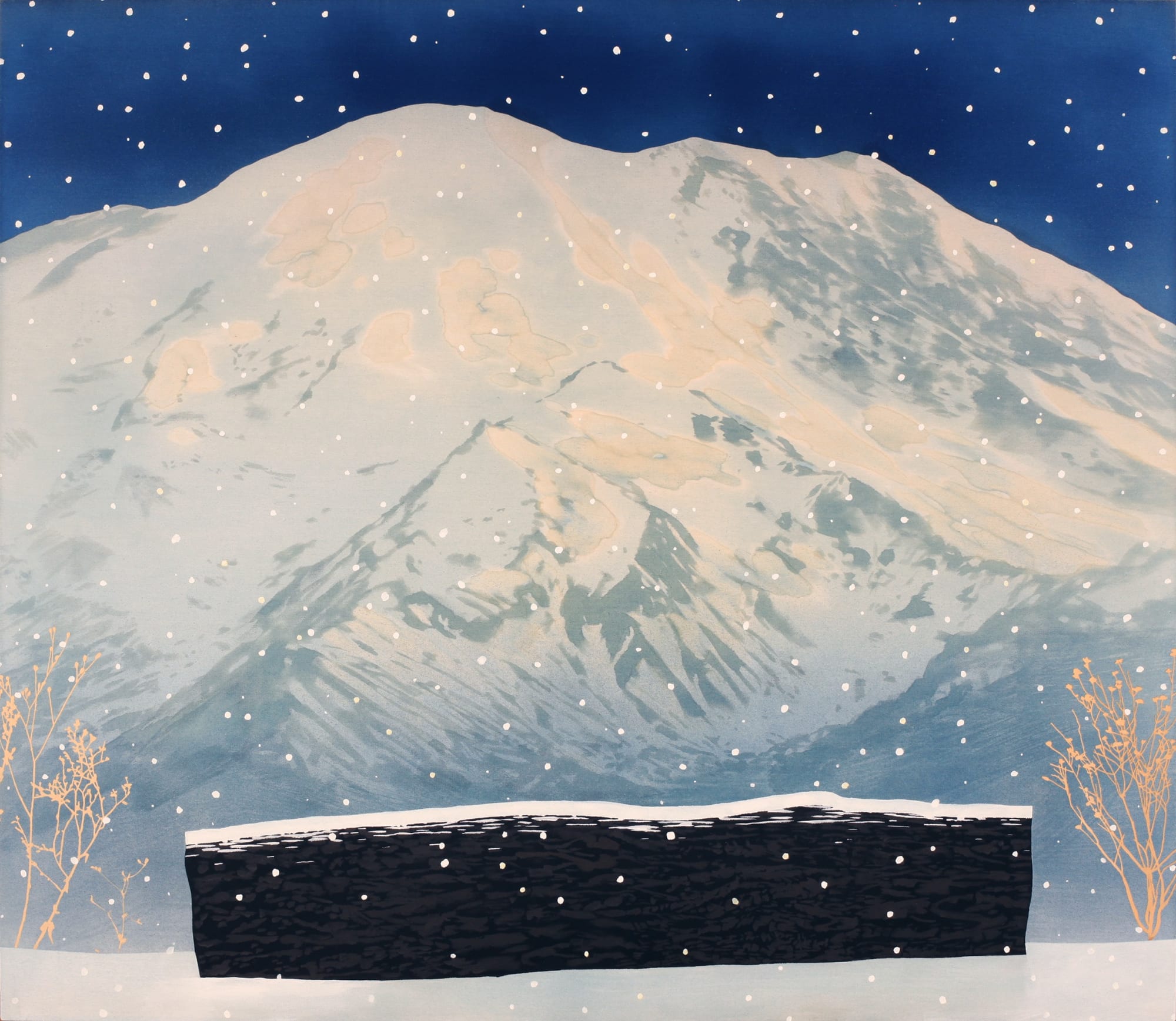 Casey Roberts, Mountain View with Charred Log