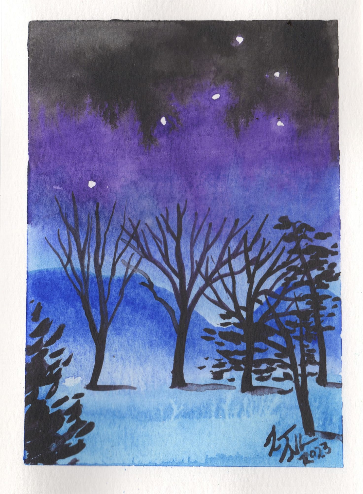 Laura Sellers, Winter Night East Asheville