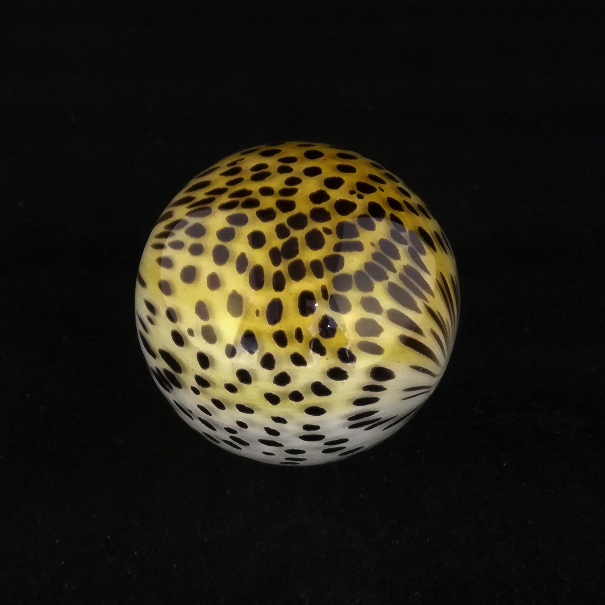 Mark Matthews, Cheetah