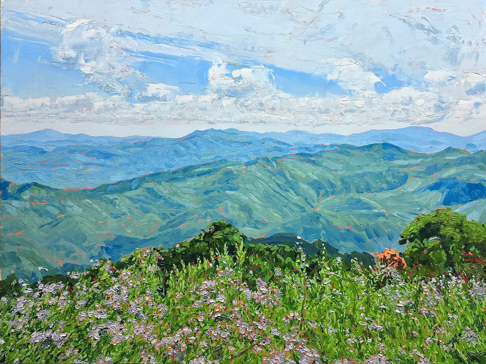 David Shingler, Spring flowers. Blue Ridge Mountains, NC