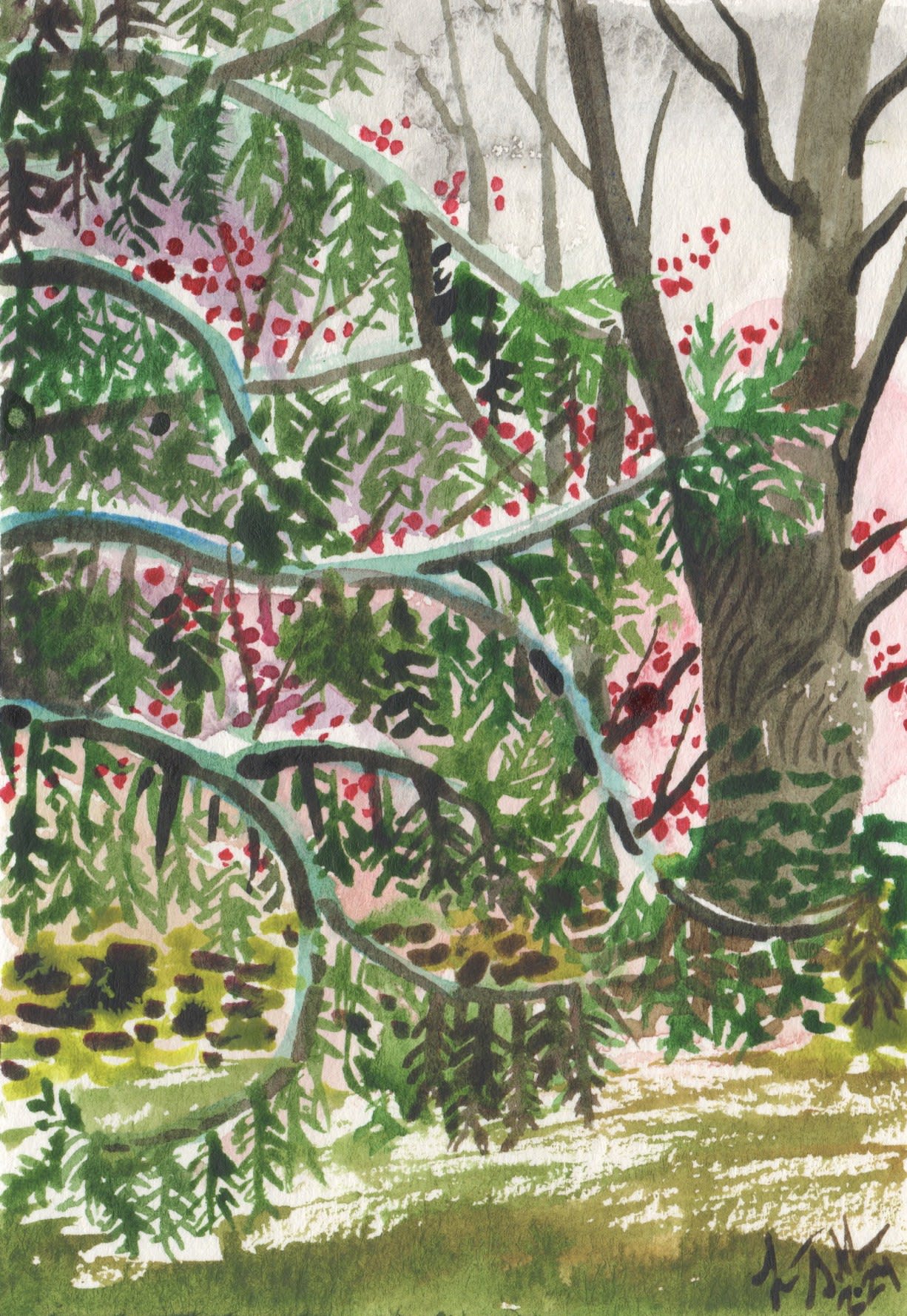 Laura Sellers, Red Buds and Evergreen