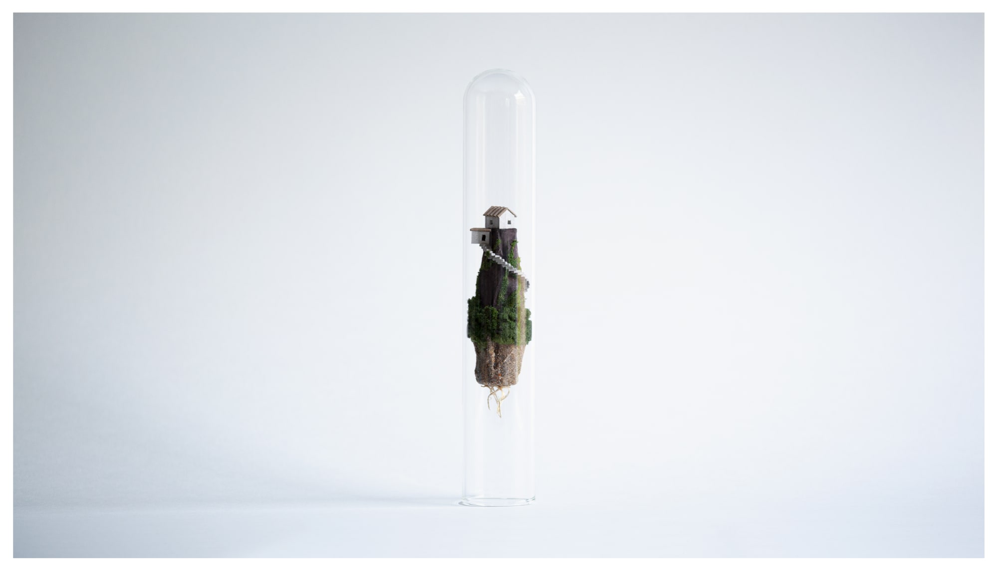 Rosa de Jong, Nr 1, 2019