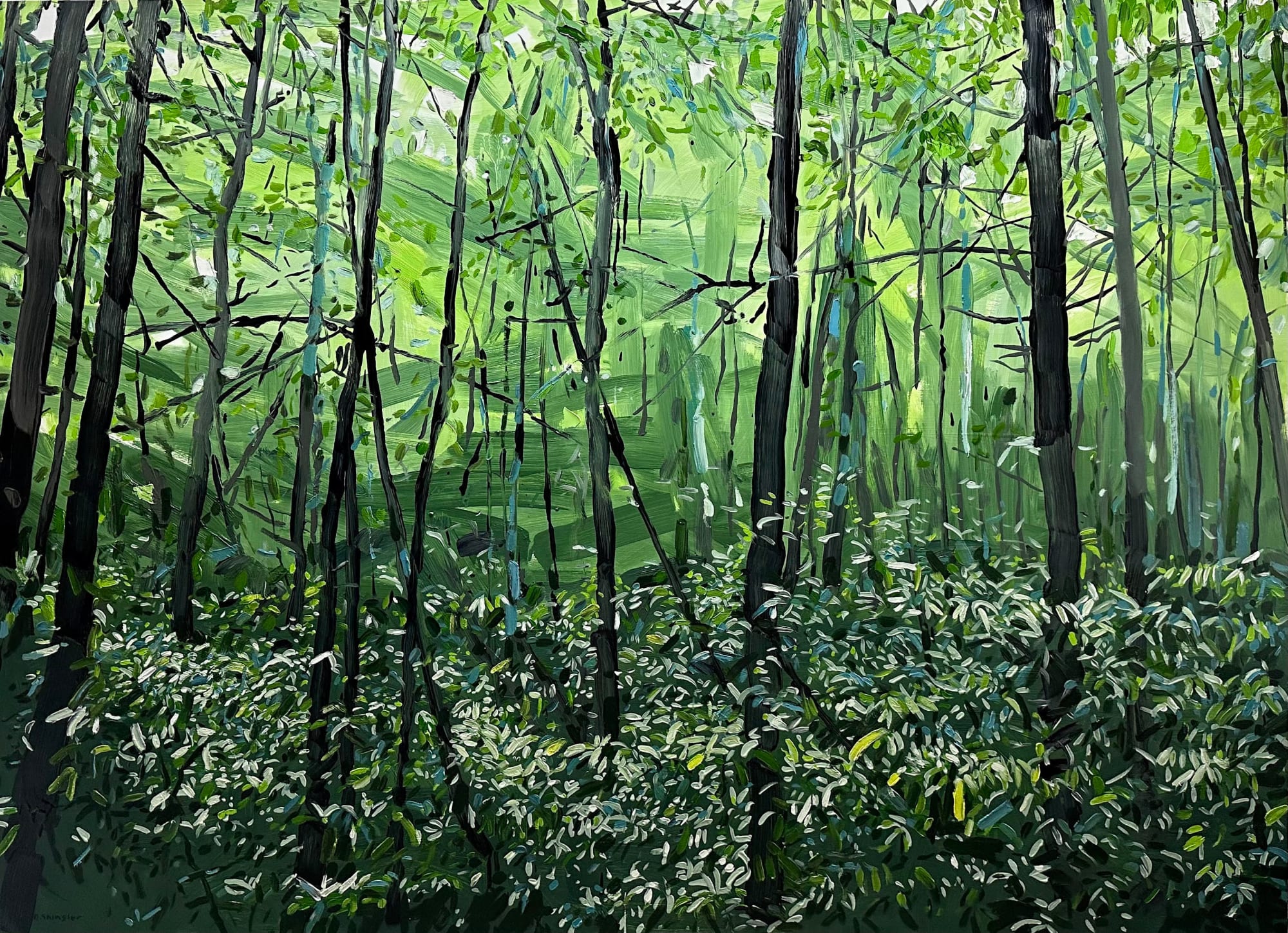 David Shingler, Rhododendron Forest, North Carolina Mountains