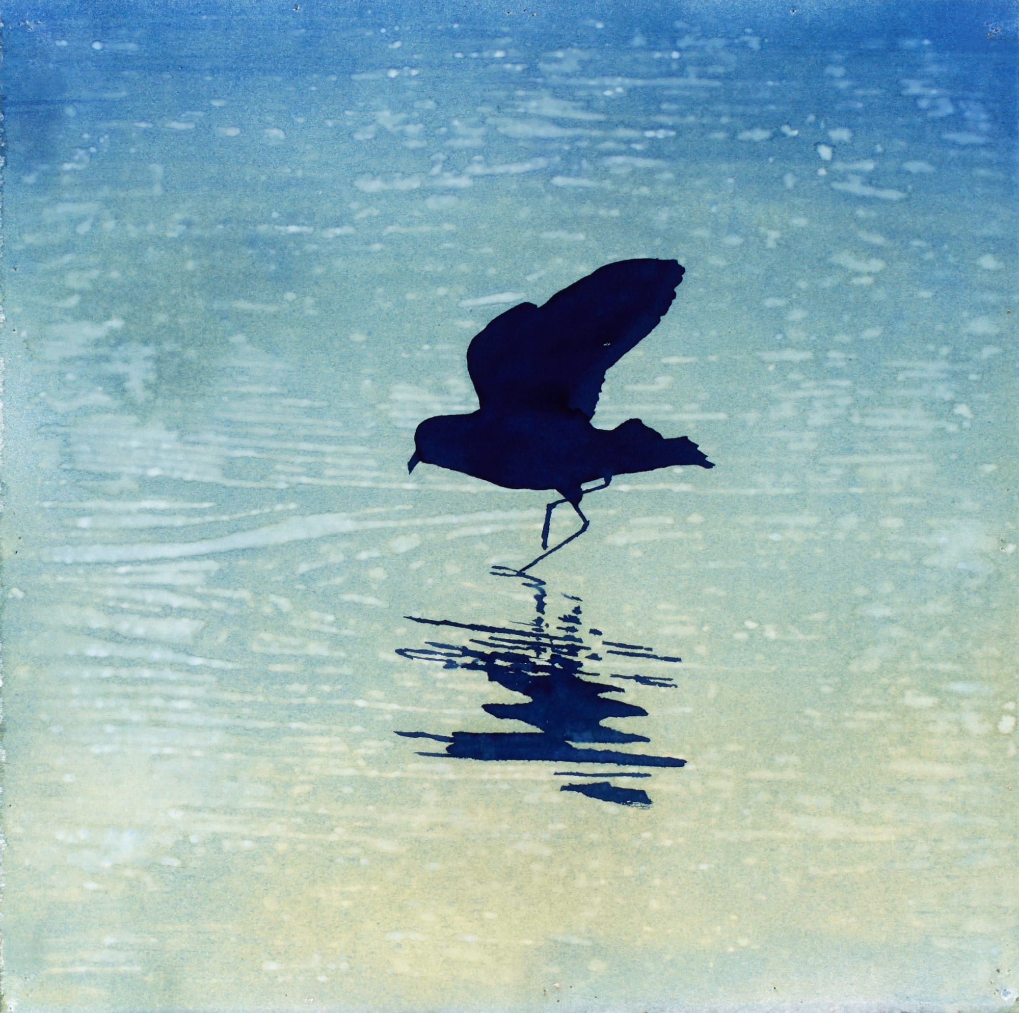 Casey Roberts, Perfect Landing No. 5