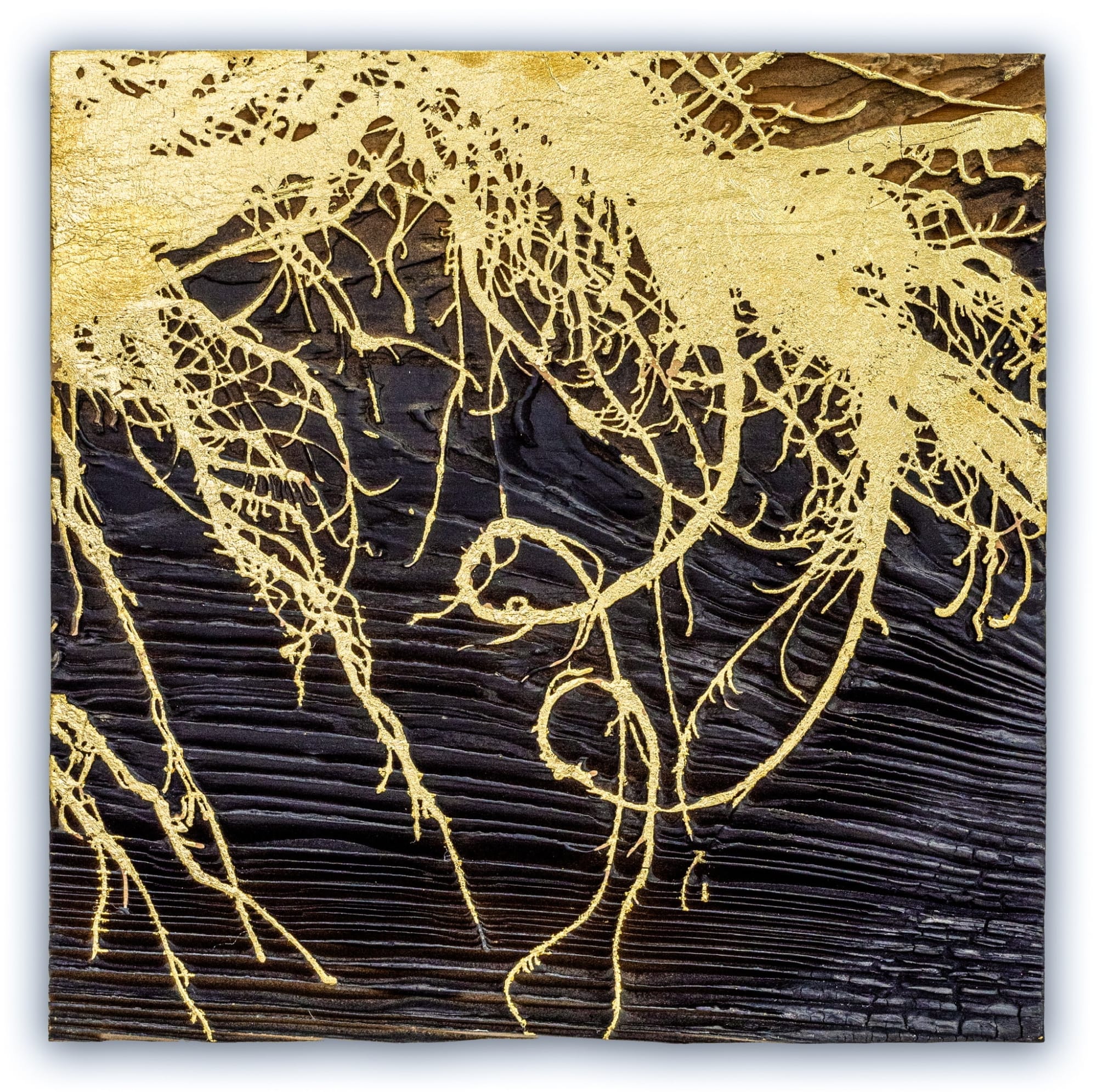 Jill Hotchkiss, Crop Gardens 1