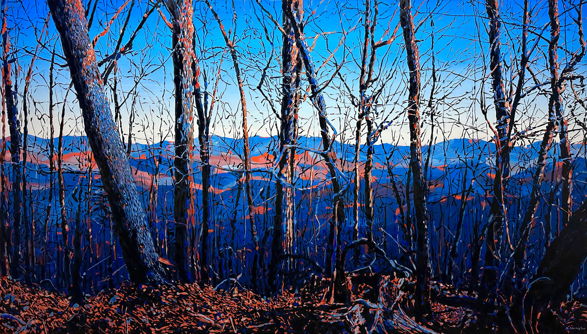David Shingler, Cold Mountain, Sunset Forest, North Carolina