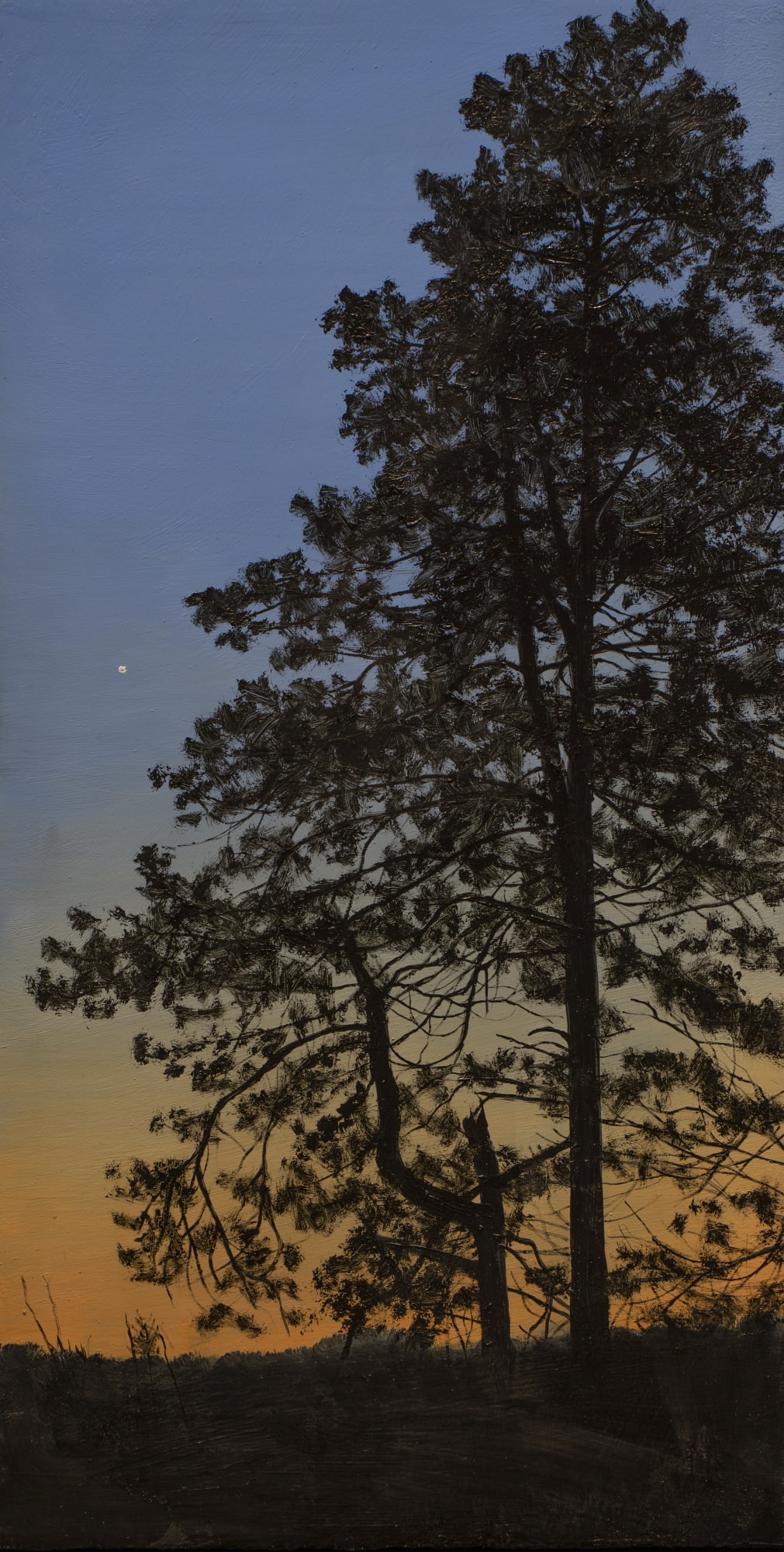 John L. Cleaveland, Jr., Early Morning, Venus Rising