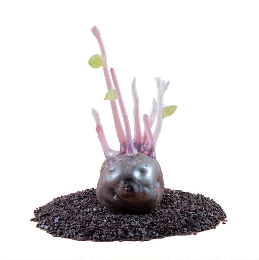 Deborah Czeresko, Forgotten Potato 23