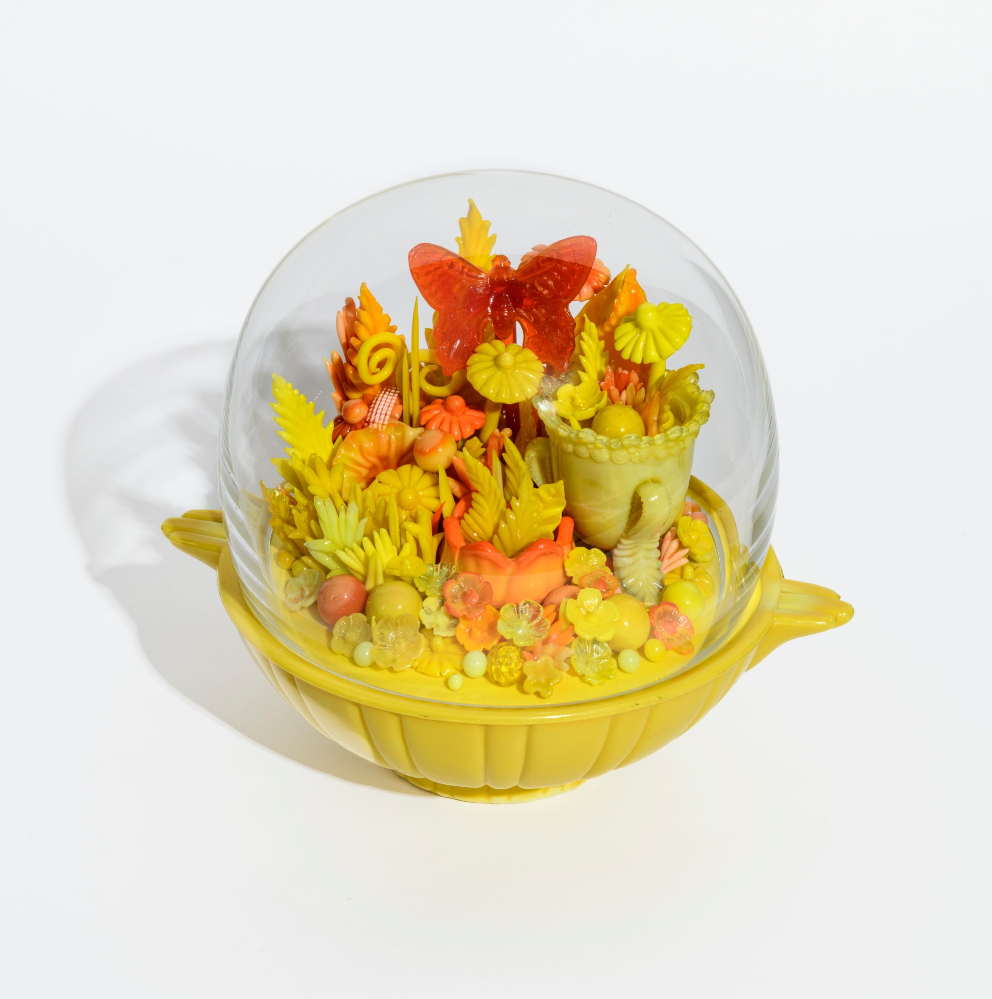 Amber Cowan, Butterfly in Bittersweet and Lemon