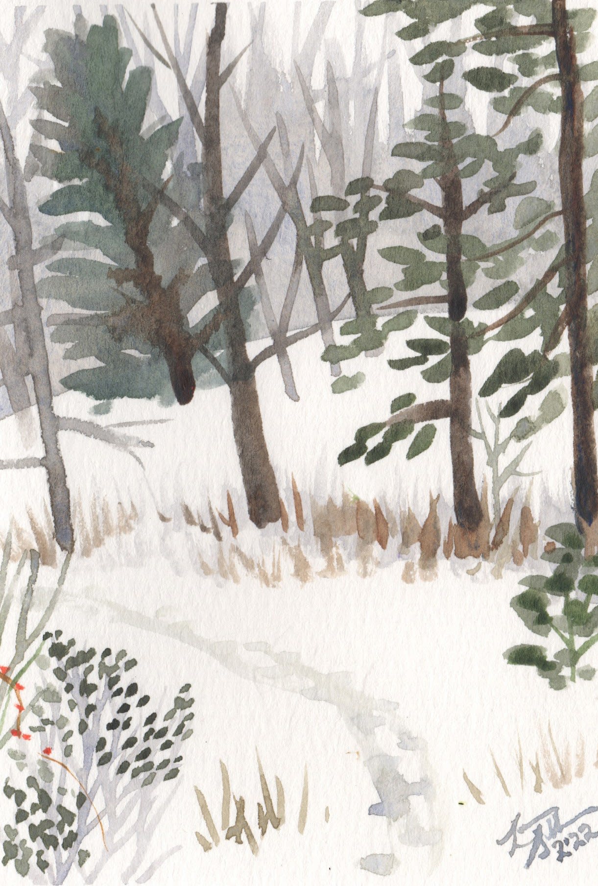 Laura Sellers, Silver Fox Cove Snow, 2022