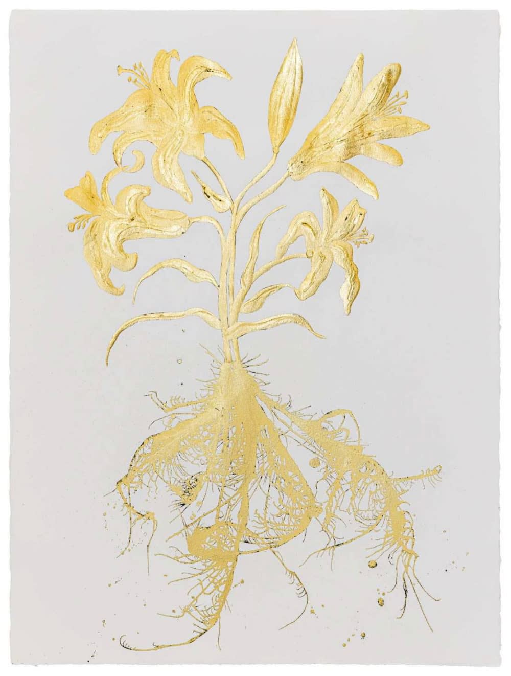 Jill Hotchkiss, Gilded Lily 01, unframed