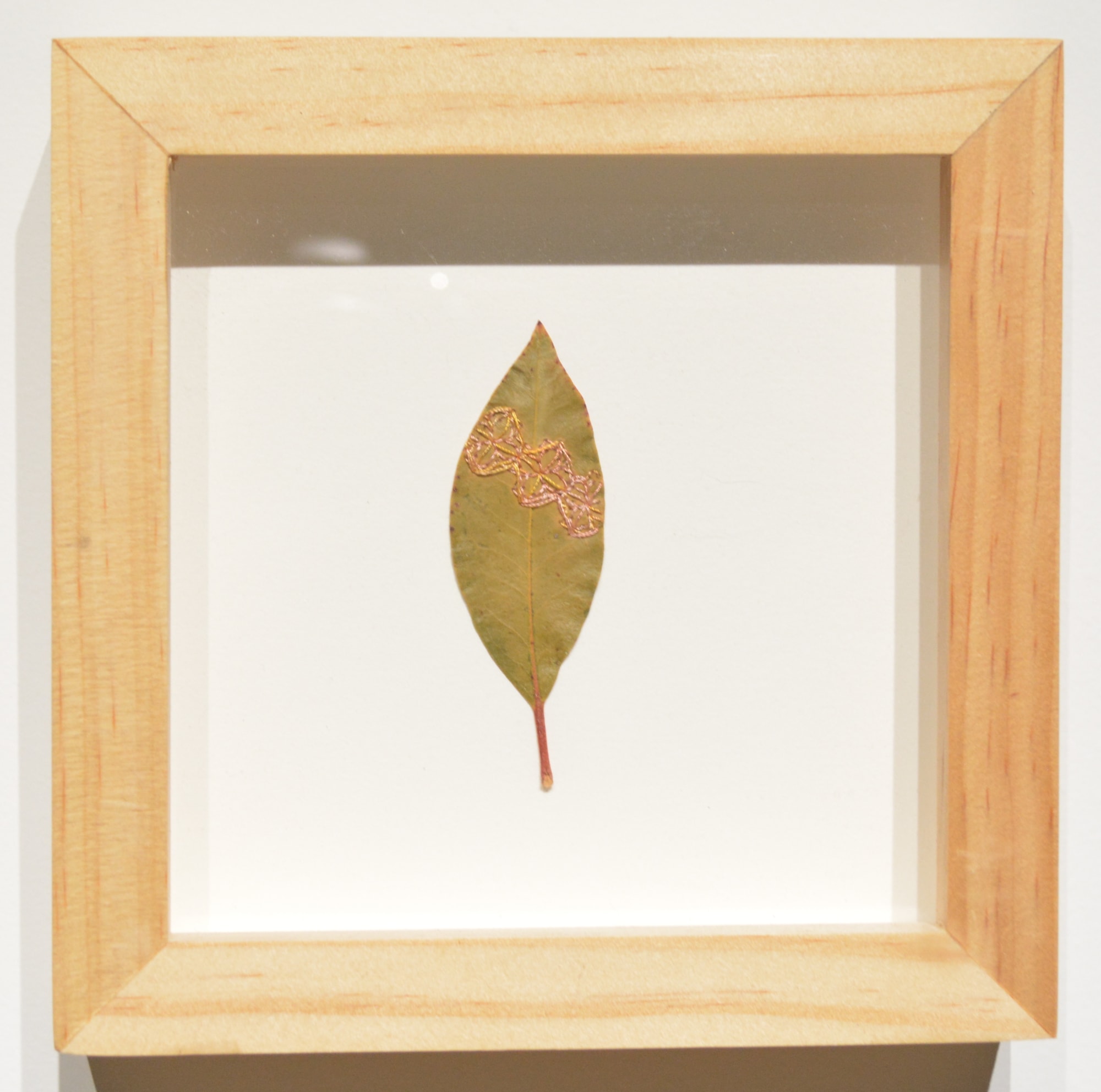 Hillary Waters Fayle, Flora Series 12