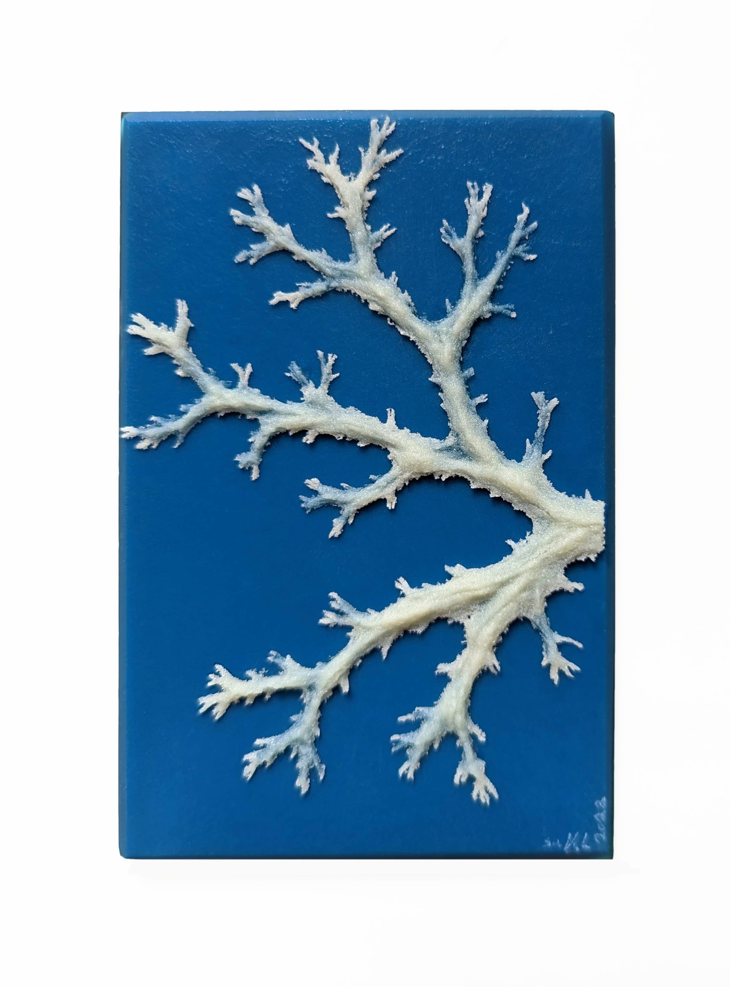 Sarah Vaughn, Moment Study VI, 2022