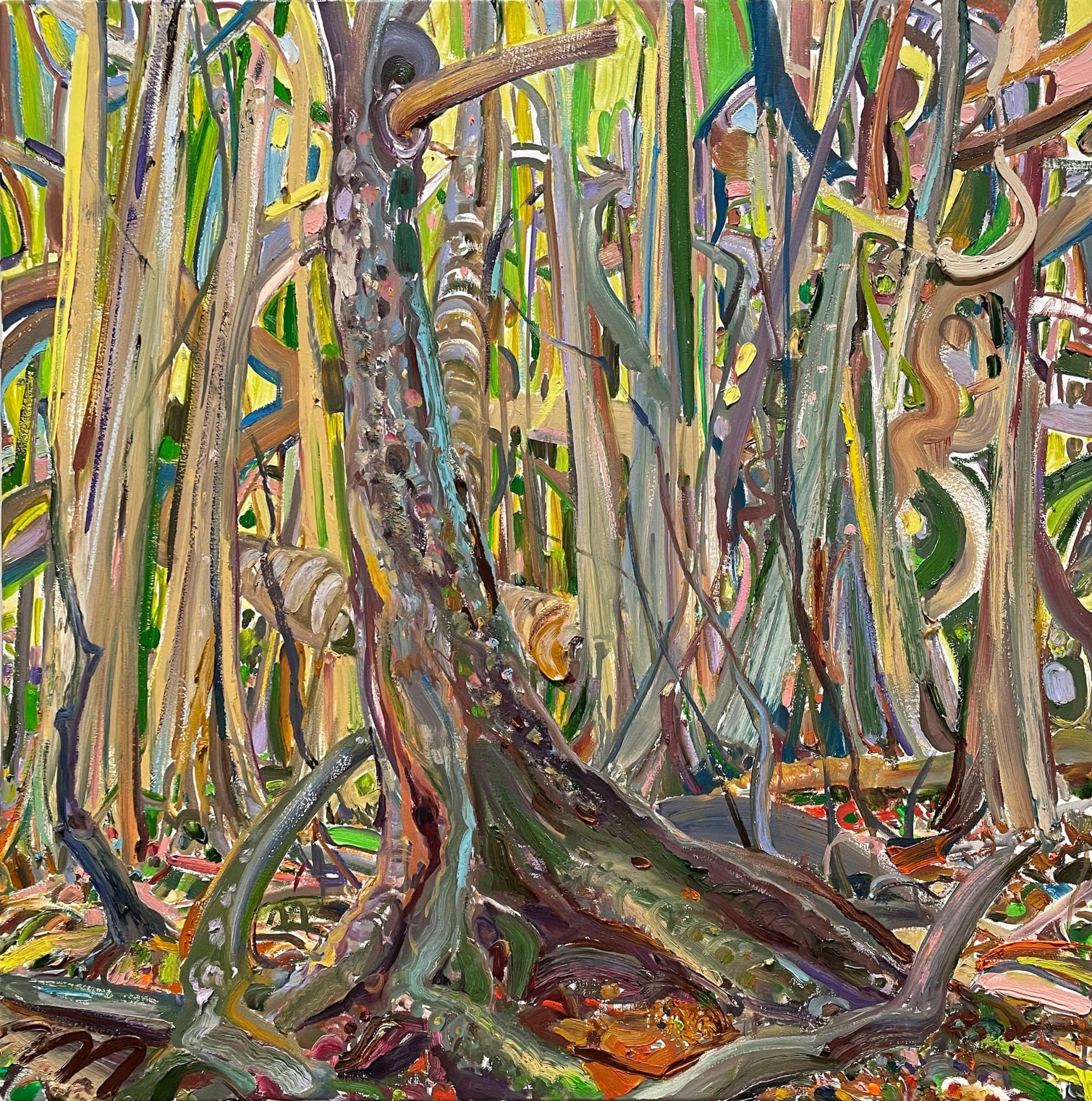 Lilian Garcia-Roig, Rhythmic Root & Canopy