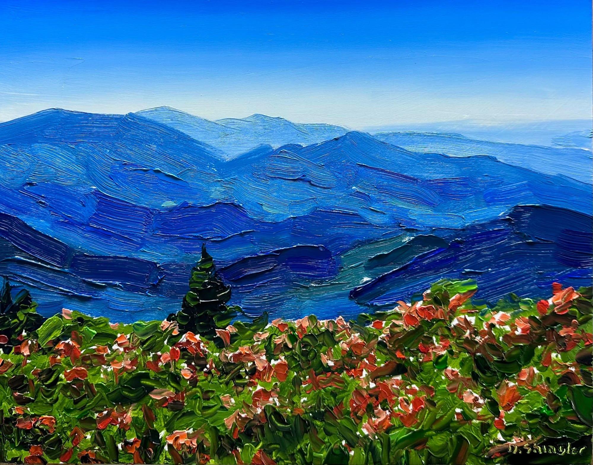 David Shingler, Flame Azaleas, Great Smoky Mountain National Park, NC