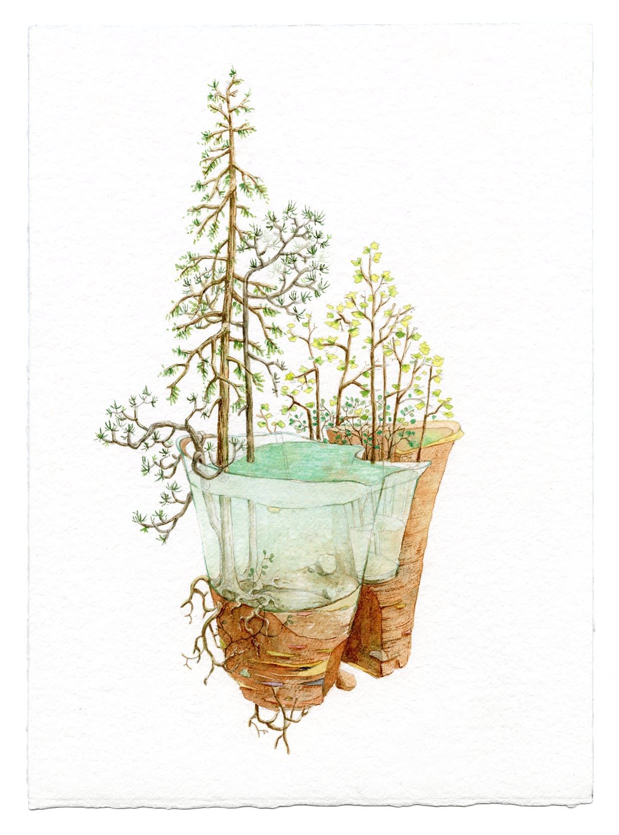 Bryce Lafferty, Emerald Pool, 2022