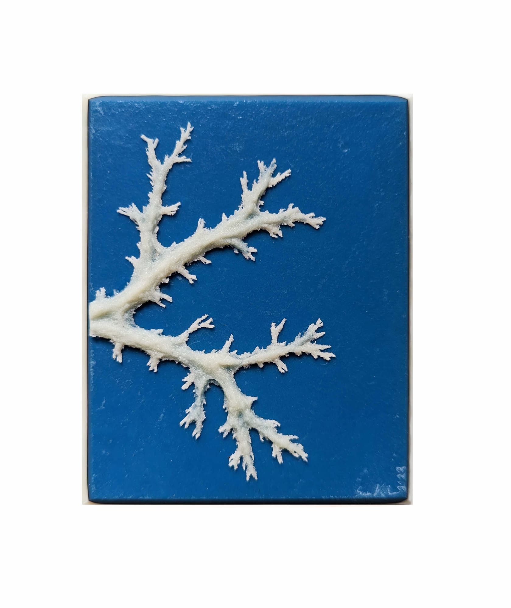 Sarah Vaughn, Moment Study VII, 2022