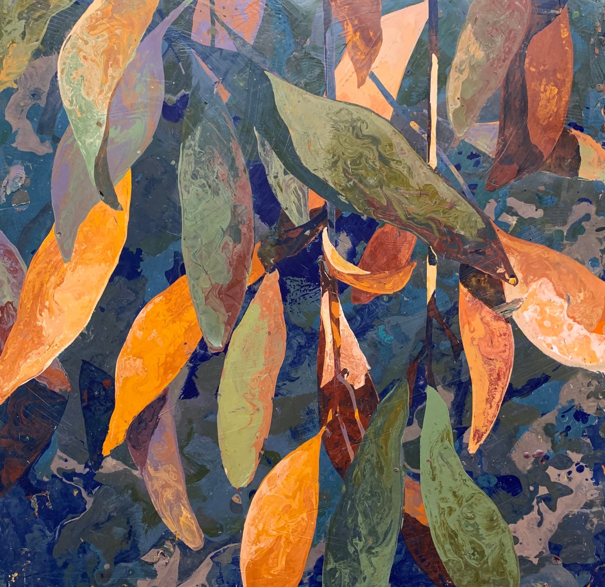 Dana Brown, Transition