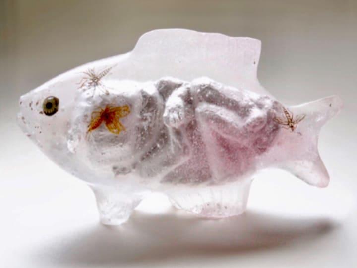 Christina Bothwell, Baby Mermaid