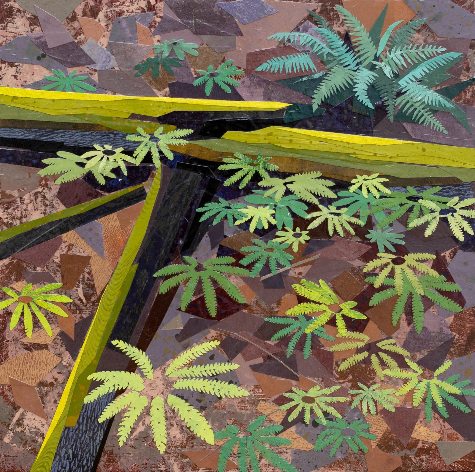 Meg Lagodzki, Maidenhair and Christmas Ferns