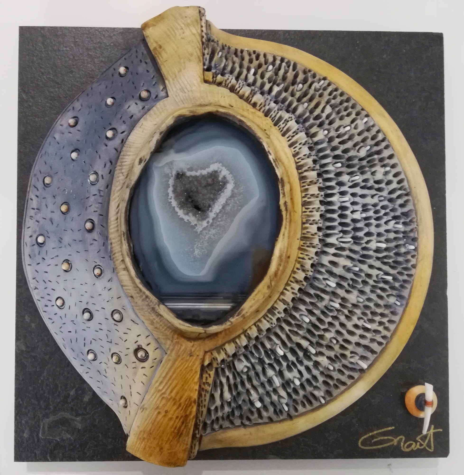 Vicki Grant, Windows to the Earth - 19012