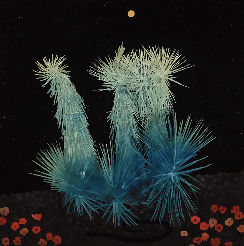 Casey Roberts, High Desert Yucca